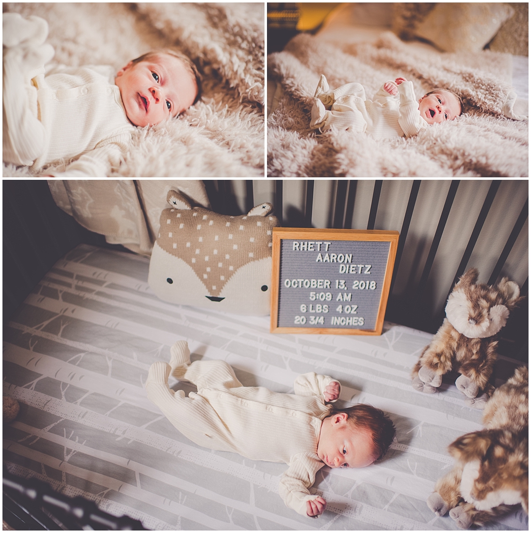 Kara Evans Photographer - Chicagoland Photographer - Lifestyle Family Photographer - Iroquois County Lifestyle Family Photographer - Baby Fawn Nursery
