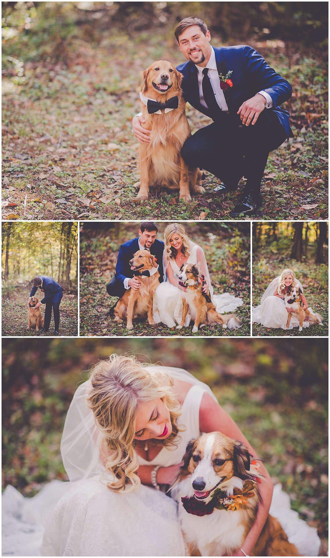 October wedding day at the Western Illinois Youth Camp in Jacksonville Illinois. Photos of Bride + Groom with dogs. Orange, cobalt red, and navy wedding day.