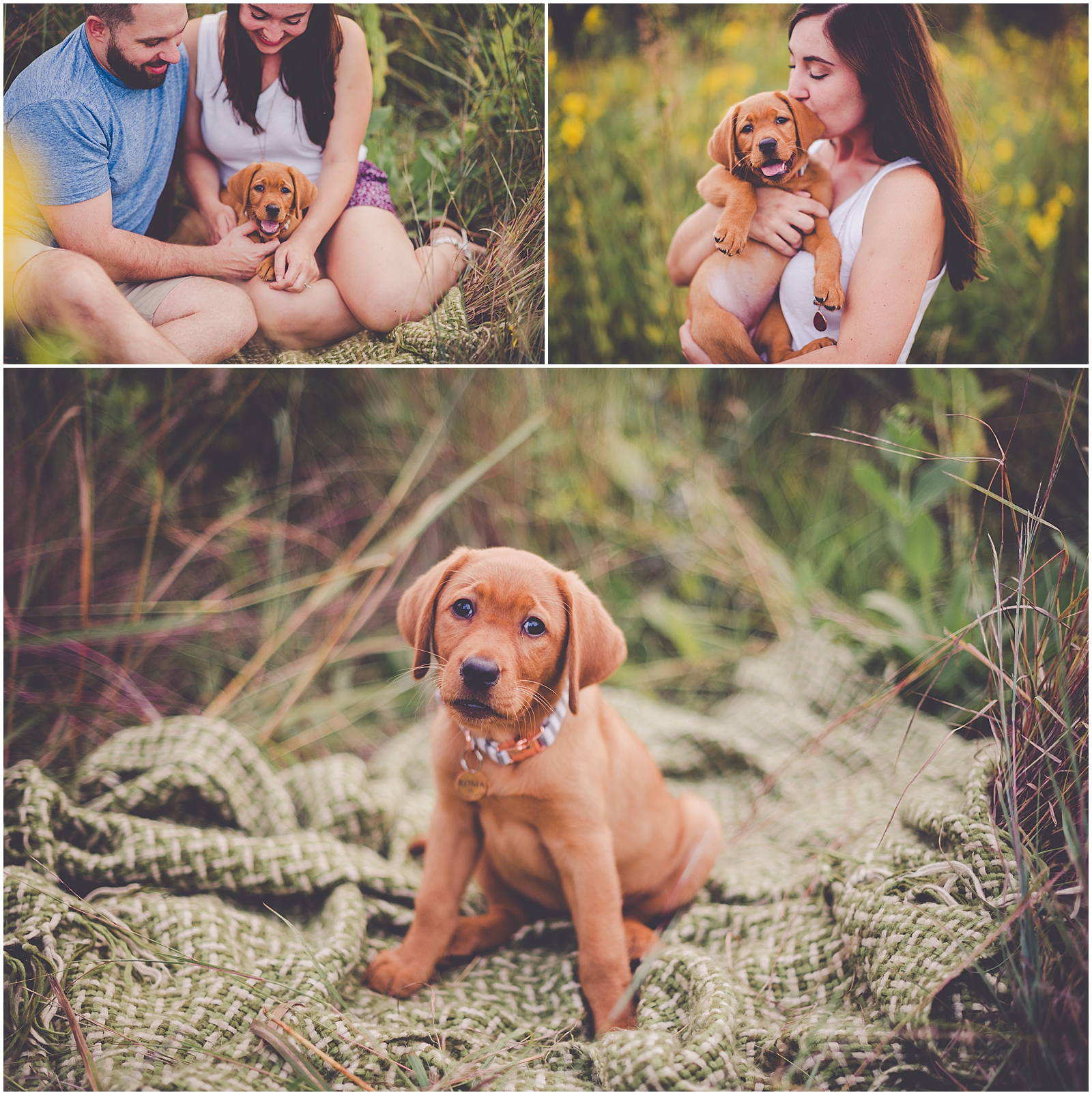 Summer sunset couples and new puppy session in Aroma Park, Illinois with Chicagoland wedding photographer Kara Evans Photographer.