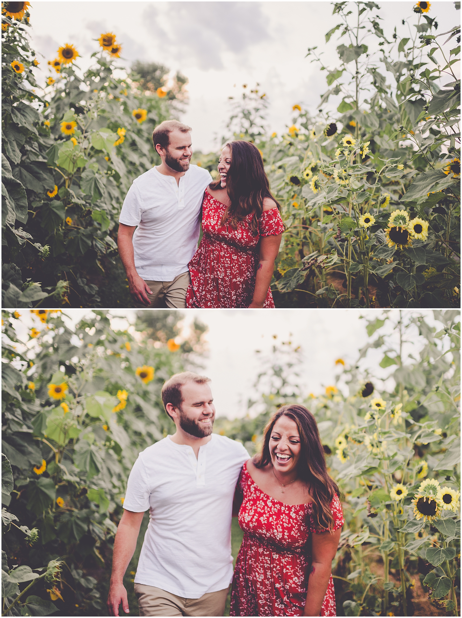 Daniela and Andrew's sunflower engagement photos at Proclamation Flowers with Chicagoland wedding photographer Kara Evans Photographer.
