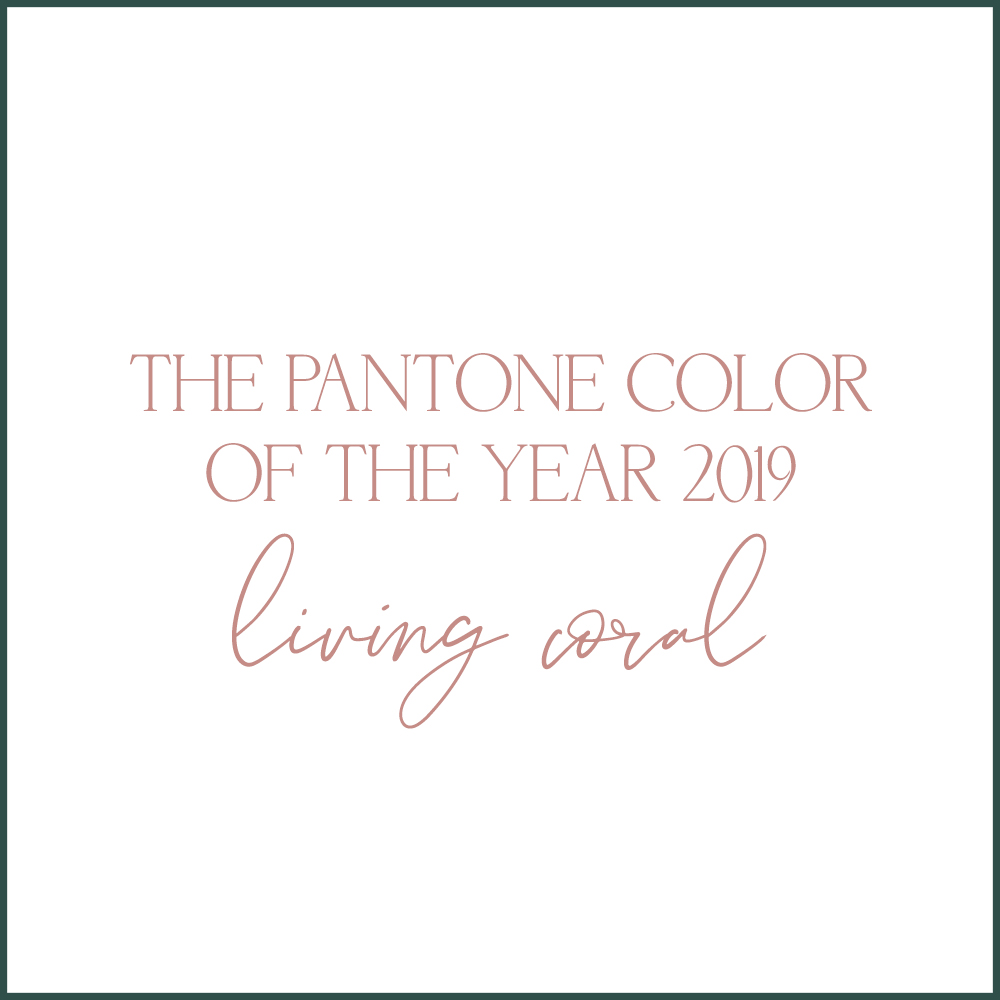 The pantone color of the year 2019 - living coral. Kara Evans Photographer's take on the 2019 pantone of the year.