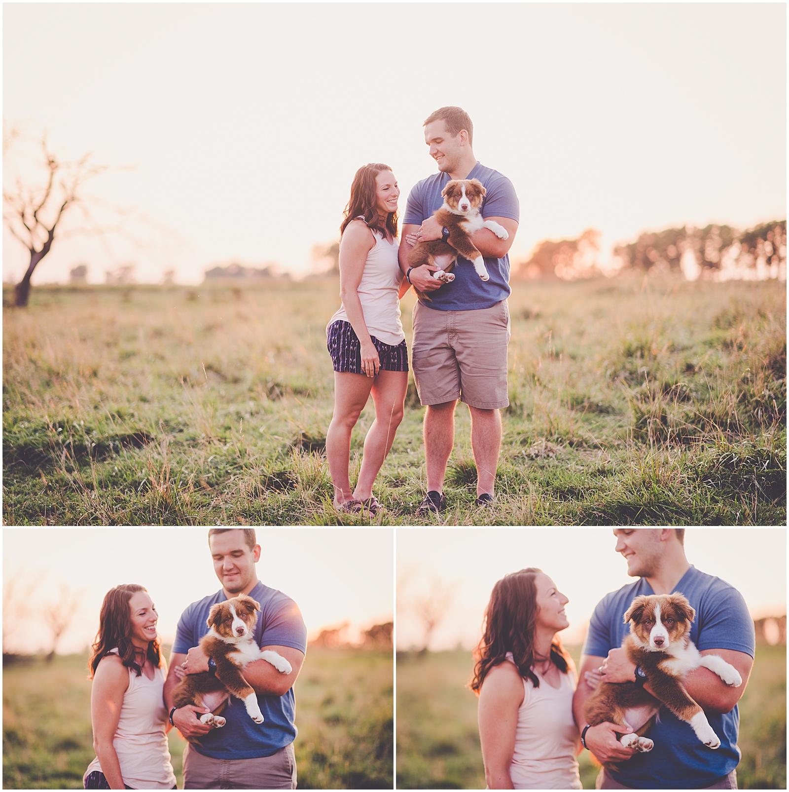 Summer sunset couples and new puppy session in Watseka, Illinois with Chicagoland wedding photographer Kara Evans Photographer.