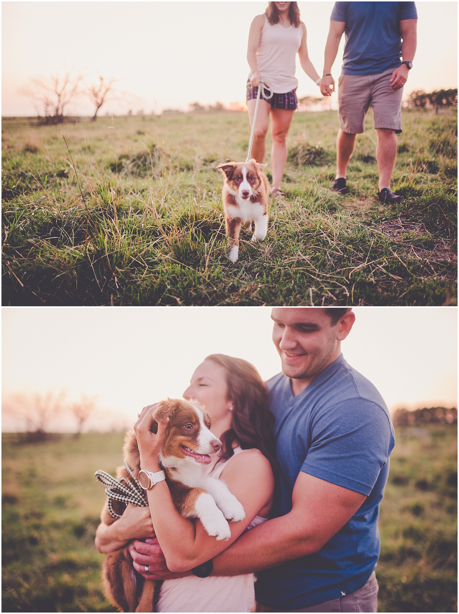 Summer sunset couples and new puppy session in Watseka, Illinois with Chicagoland wedding photographer Kara Evans Photographer.