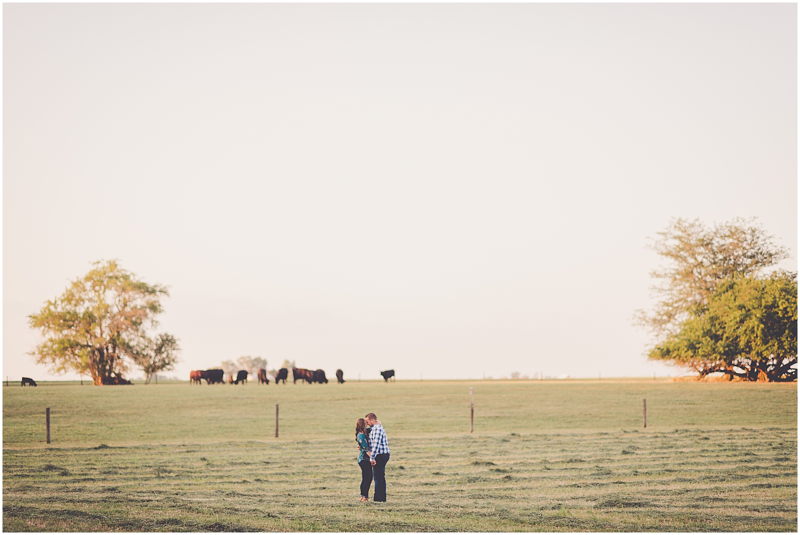 Mackenzie and Greg's Iroquois County farm anniversary session in Cissna Park, Illinois with Chicagoland wedding photographer Kara Evans Photographer.