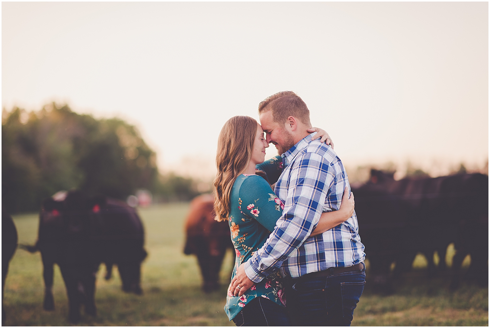 Mackenzie and Greg's Iroquois County farm anniversary session in Cissna Park, Illinois with Chicagoland wedding photographer Kara Evans Photographer.
