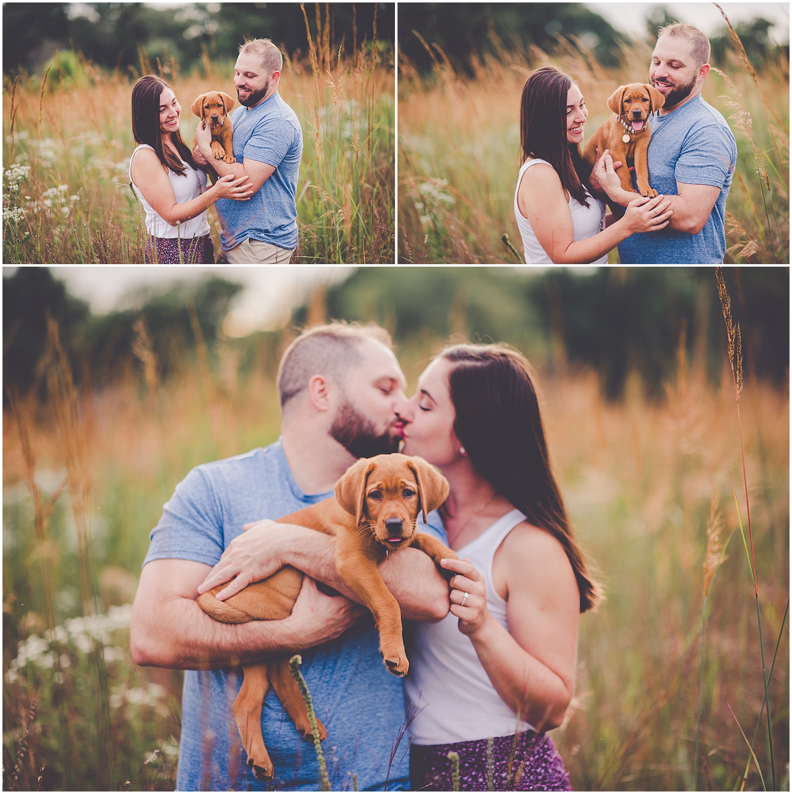 Summer sunset couples and new puppy session in Aroma Park, Illinois with Chicagoland wedding photographer Kara Evans Photographer.