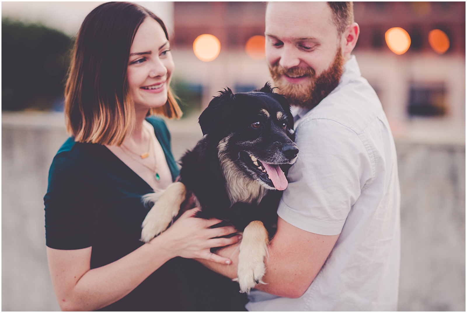 Celebrating our Wright-Way rescue puppy Georgie's fifth birthday - Chicagoland wedding photographer Kara Evans Photographer.