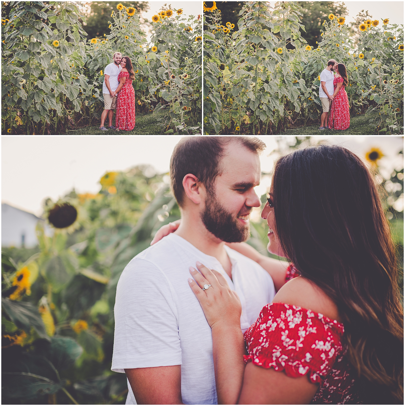 Daniela and Andrew's sunflower engagement photos at Proclamation Flowers with Chicagoland wedding photographer Kara Evans Photographer.