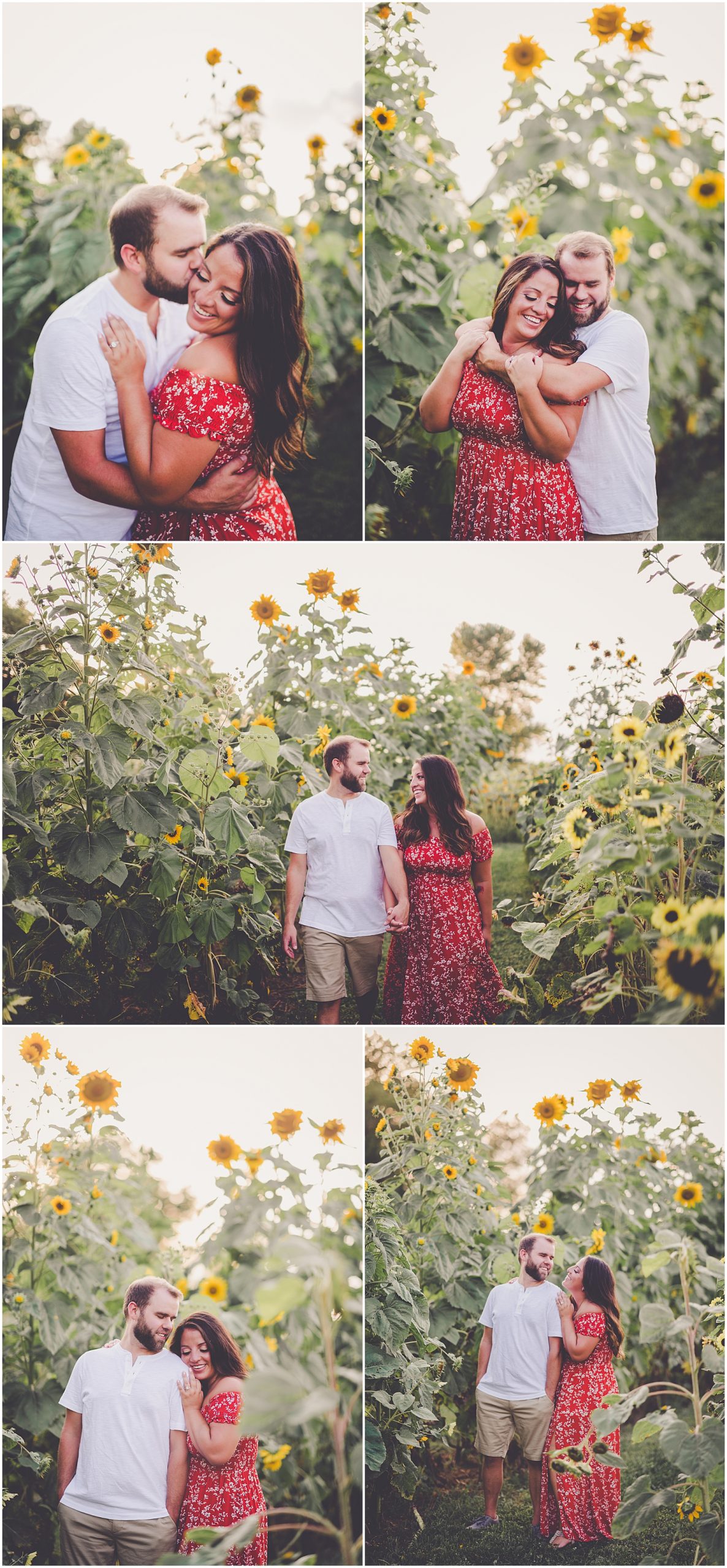 Daniela and Andrew's sunflower engagement photos at Proclamation Flowers with Chicagoland wedding photographer Kara Evans Photographer.