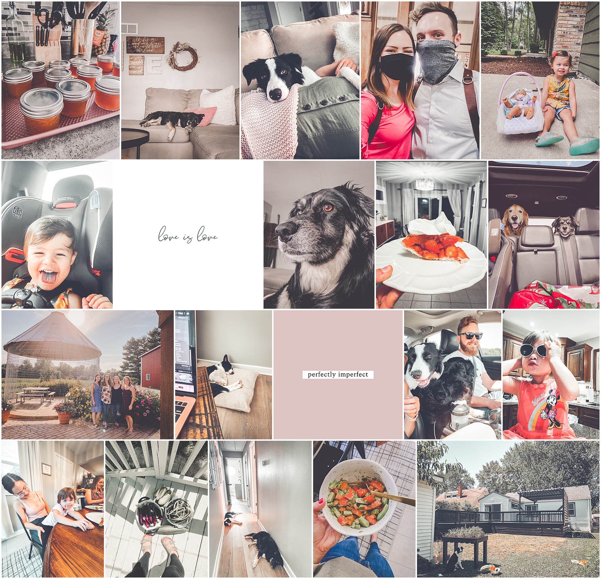 A look at the August 2020 My Life Mondays monthly blog recap with Chicagoland wedding photographer and biz mentor Kara Evans Photographer.