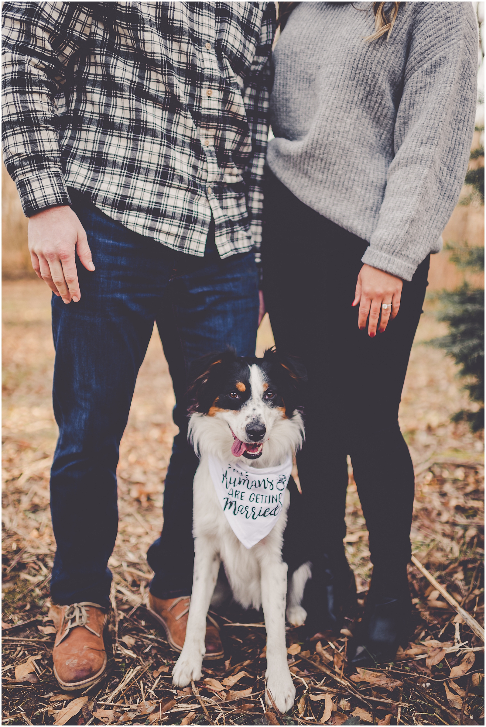 Bree and Hans' December Allerton Park engagement photos in Monticello, IL with Chicagoland wedding photographer Kara Evans Photographer.