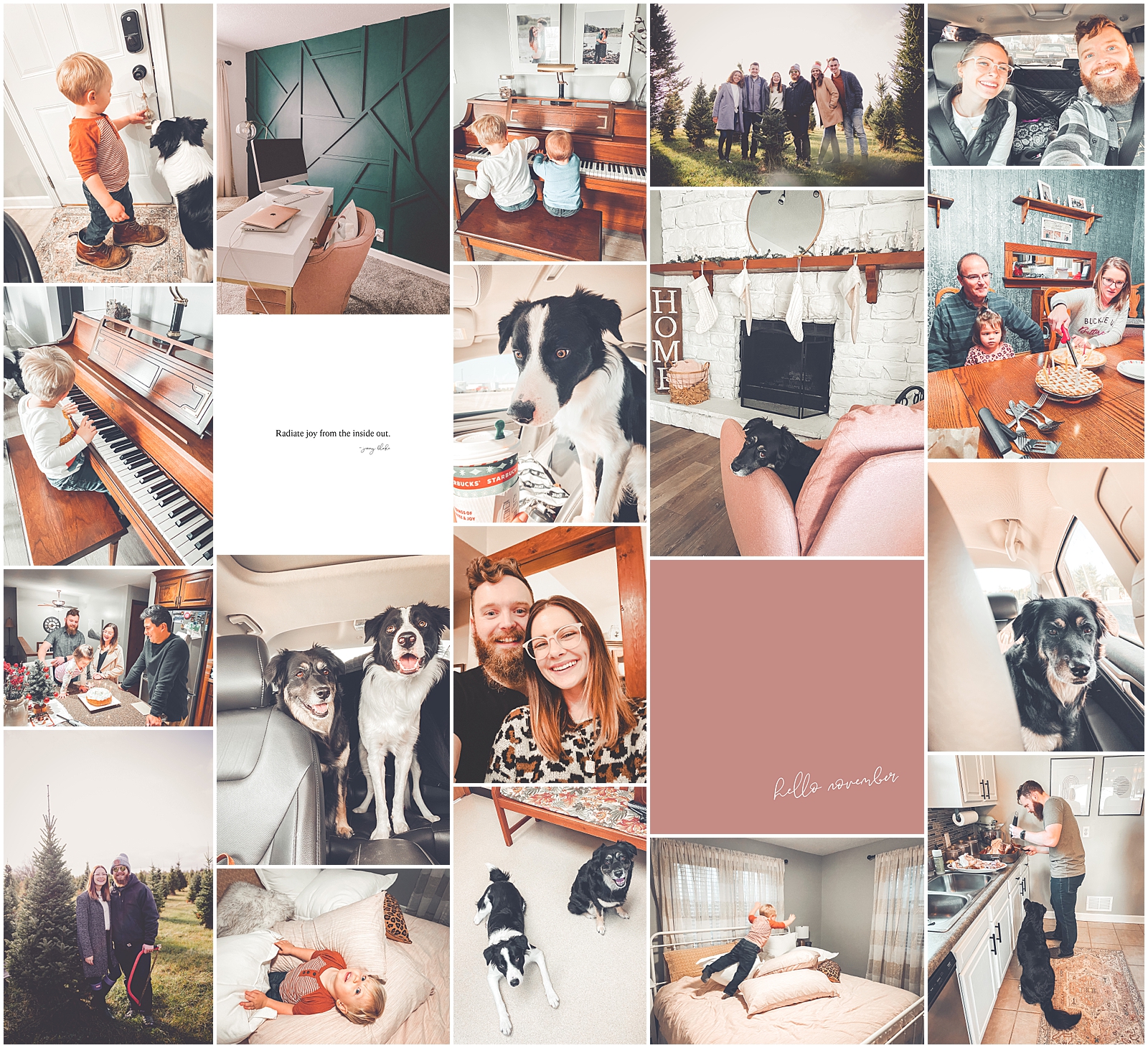 A look at the November 2020 My Life Mondays monthly blog recap with Chicagoland wedding photographer and mentor Kara Evans Photographer.