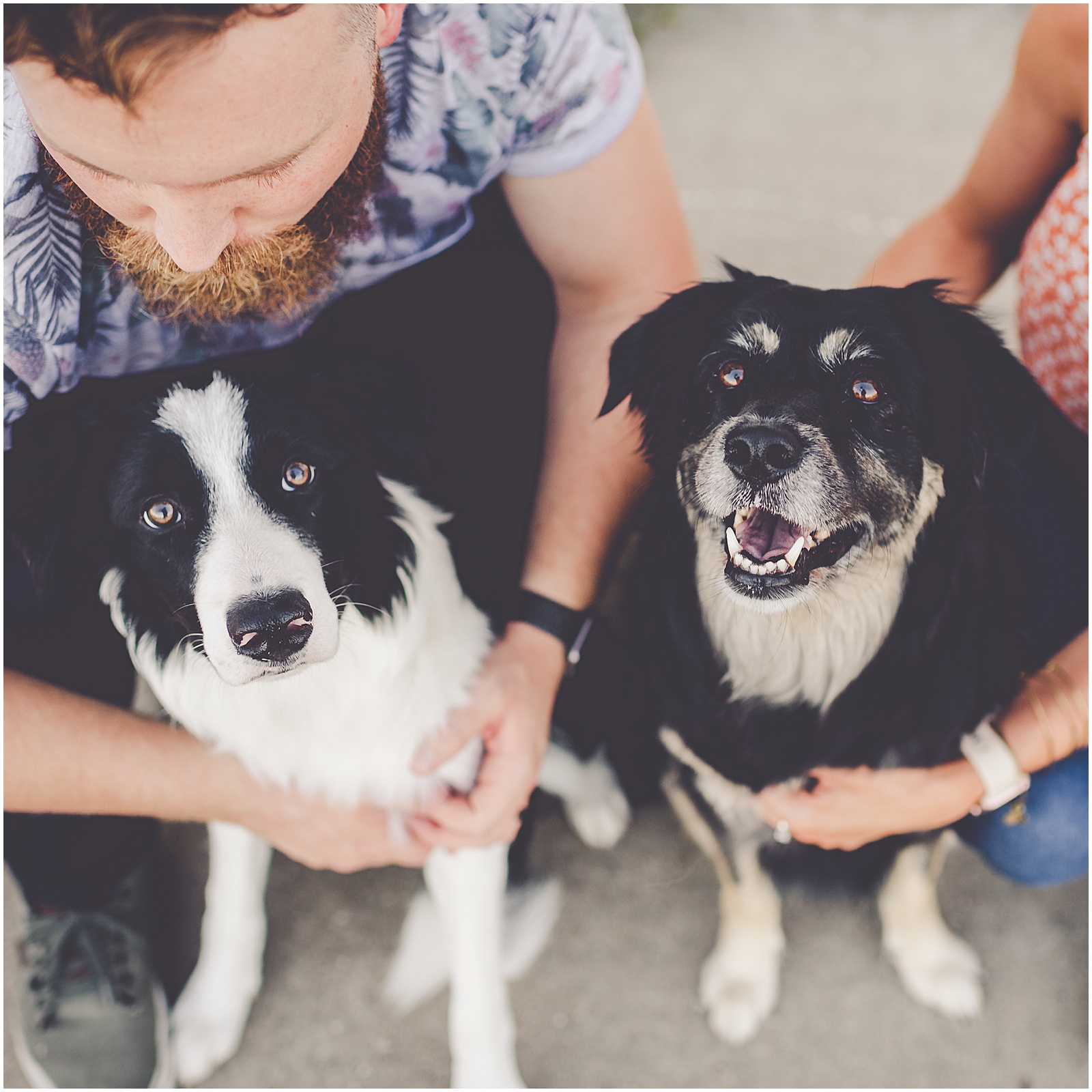 Celebrating our Wright-Way rescue dog Georgie's 6th birthday behind the scenes with Chicagoland wedding photographer Kara Evans Photographer.