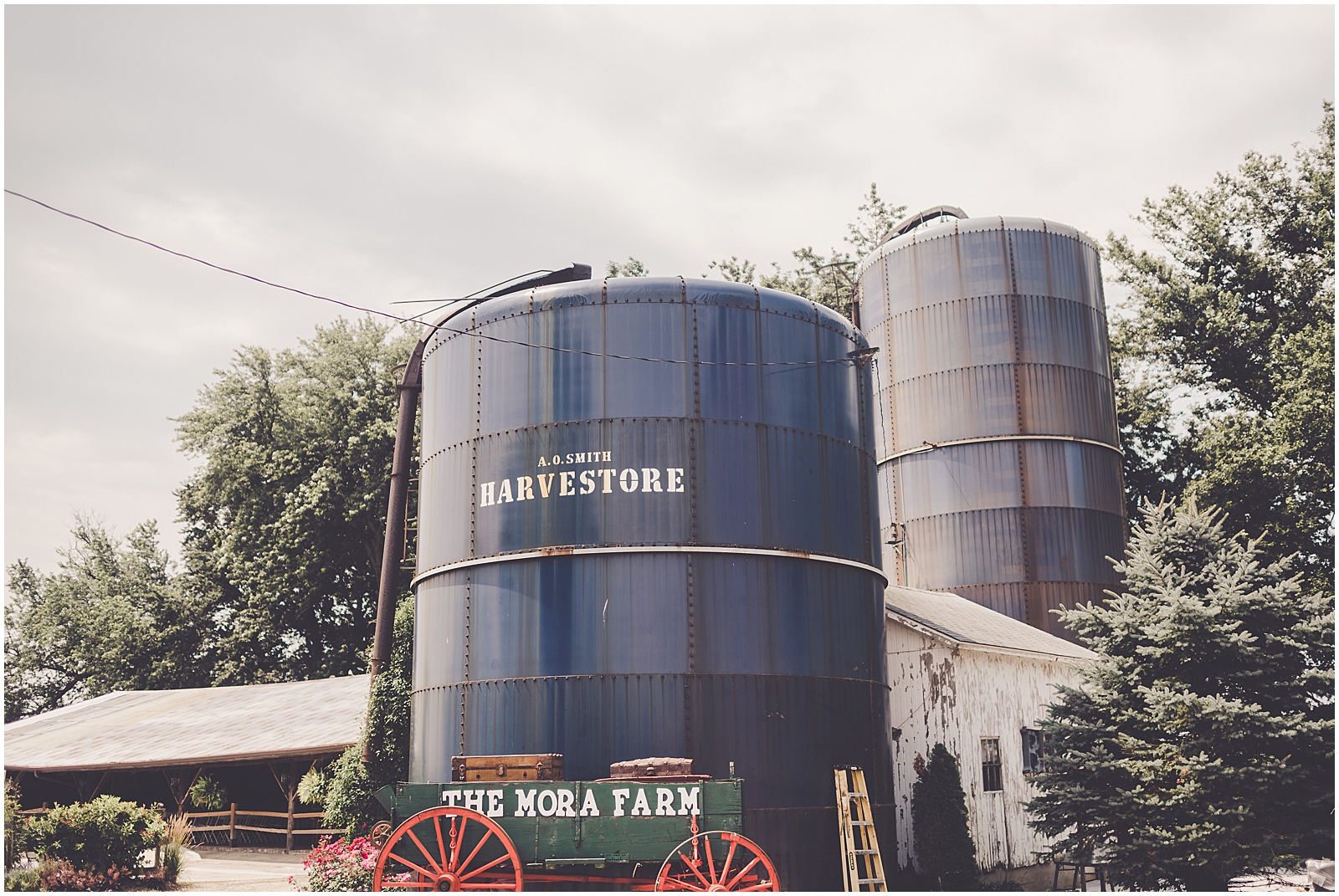 Daniela and Andrew's romantic August wedding at The Mora Farm in Waterman, IL with Chicagoland wedding photographer Kara Evans Photographer.