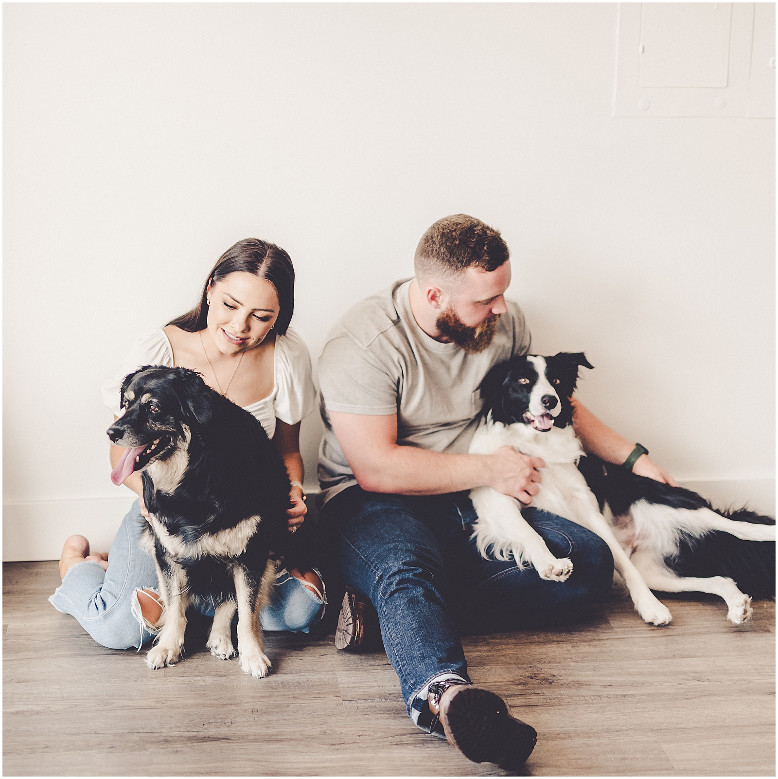 Celebrating our Border Collie puppy Jett's third birthday - Chicagoland wedding photographer Kara Evans Photographer.