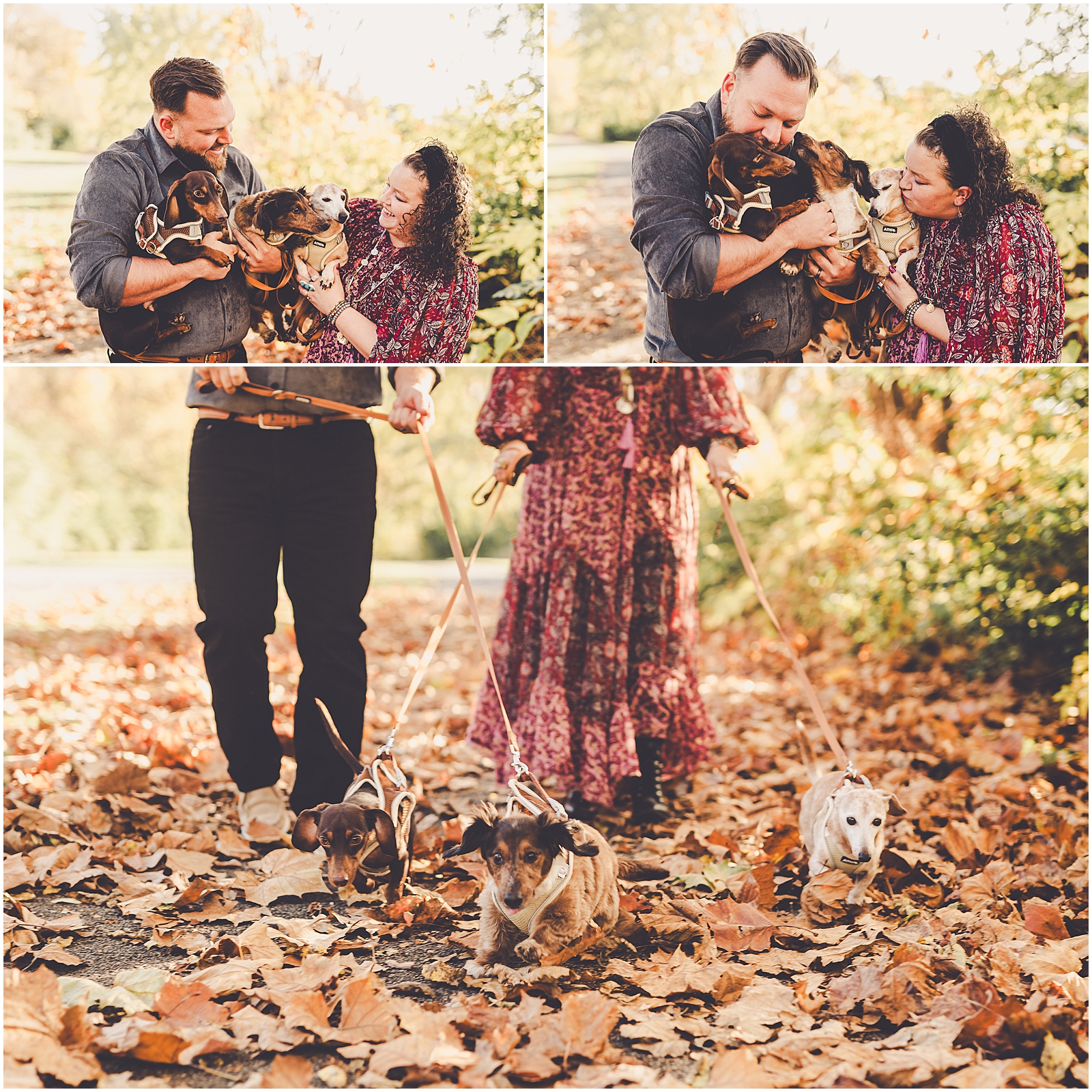 Paige and Tommy's fall downtown Aurora anniversary session with Chicagoland wedding photographer Kara Evans Photographer.