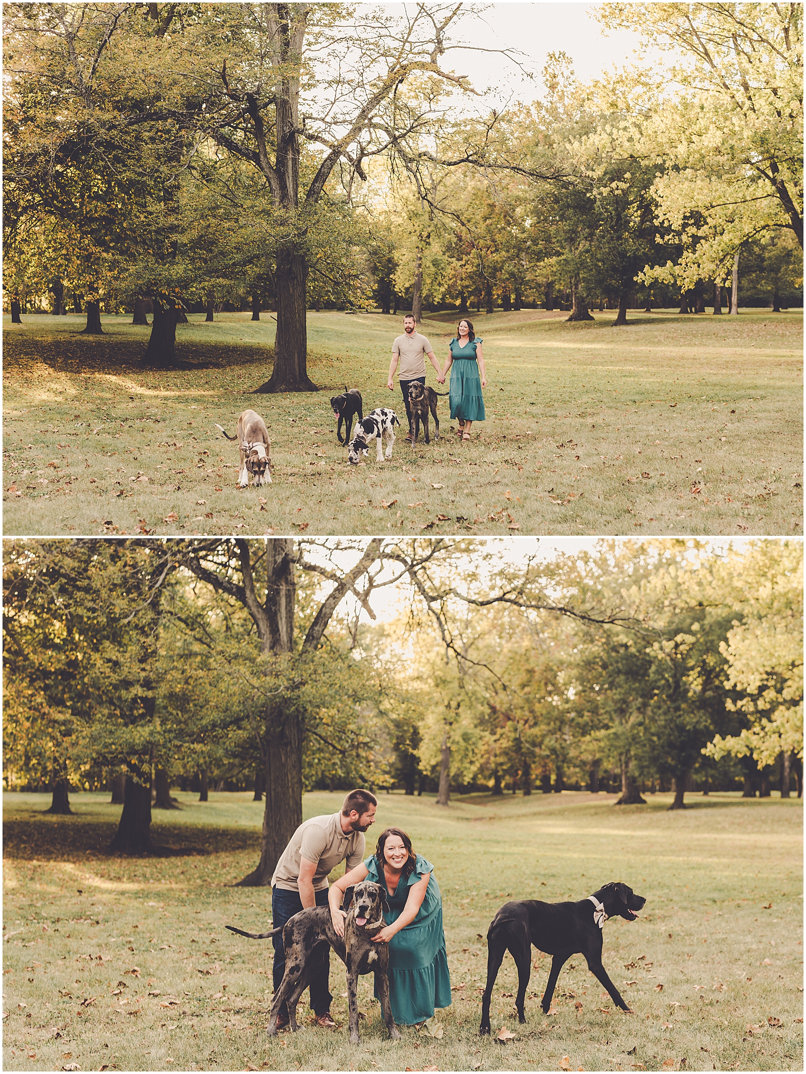 Fall family photographer in Watseka & Great Dane family photos with Kankakee & Iroquois County family photographer Kara Evans Photographer.