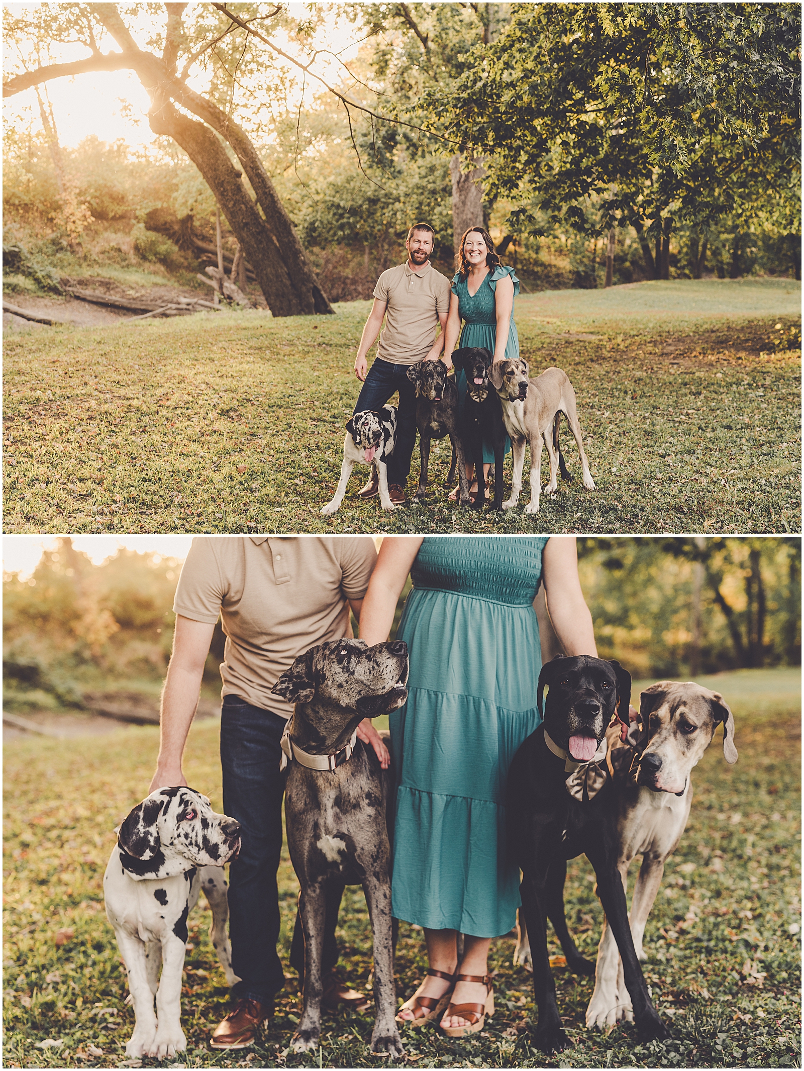 Fall family photographer in Watseka & Great Dane family photos with Kankakee & Iroquois County family photographer Kara Evans Photographer.