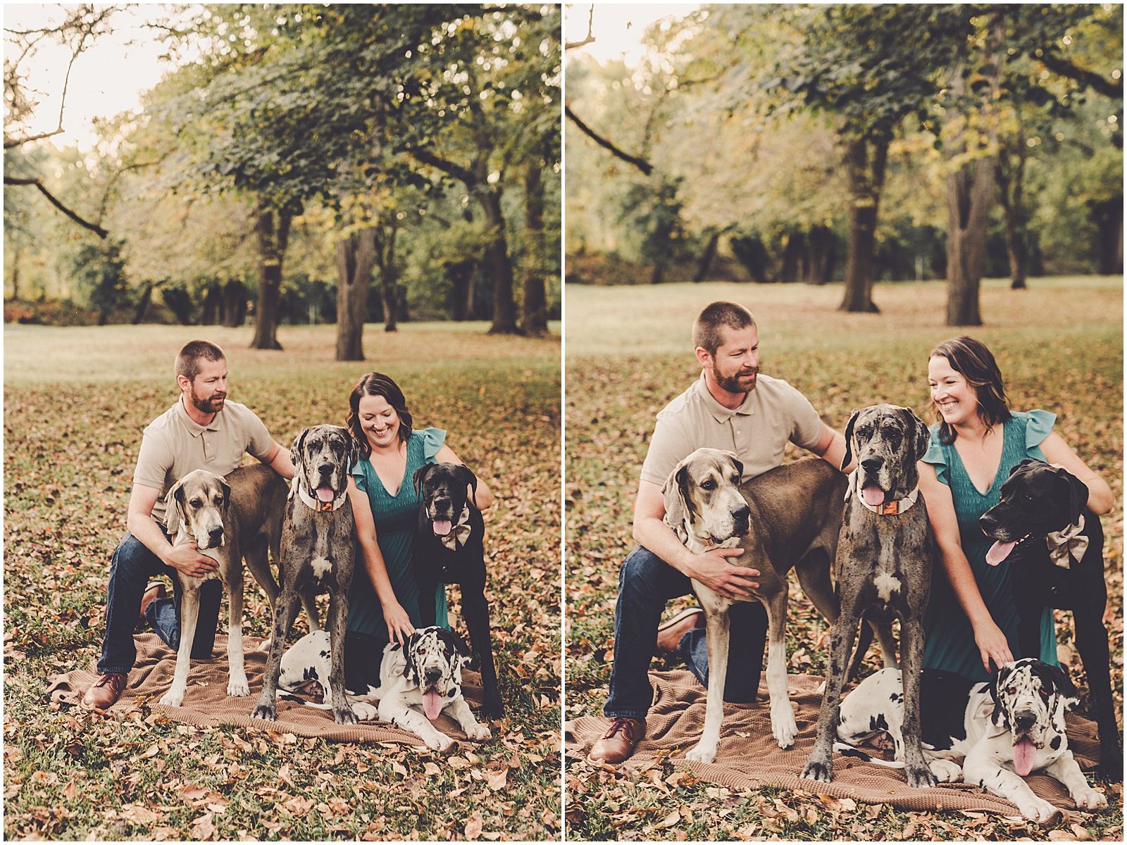 Fall family photographer in Watseka & Great Dane family photos with Kankakee & Iroquois County family photographer Kara Evans Photographer.