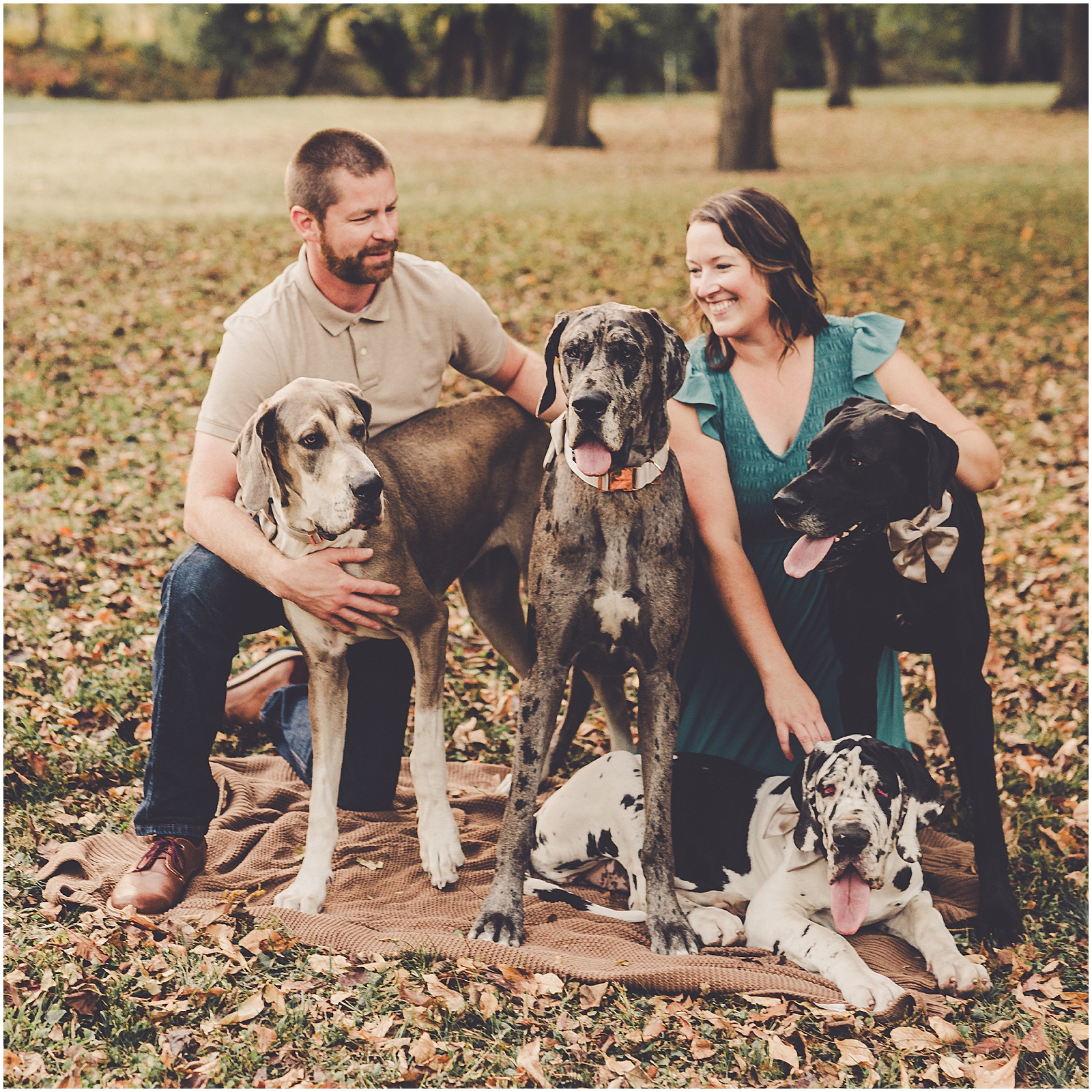 Fall family photographer in Watseka & Great Dane family photos with Kankakee & Iroquois County family photographer Kara Evans Photographer.