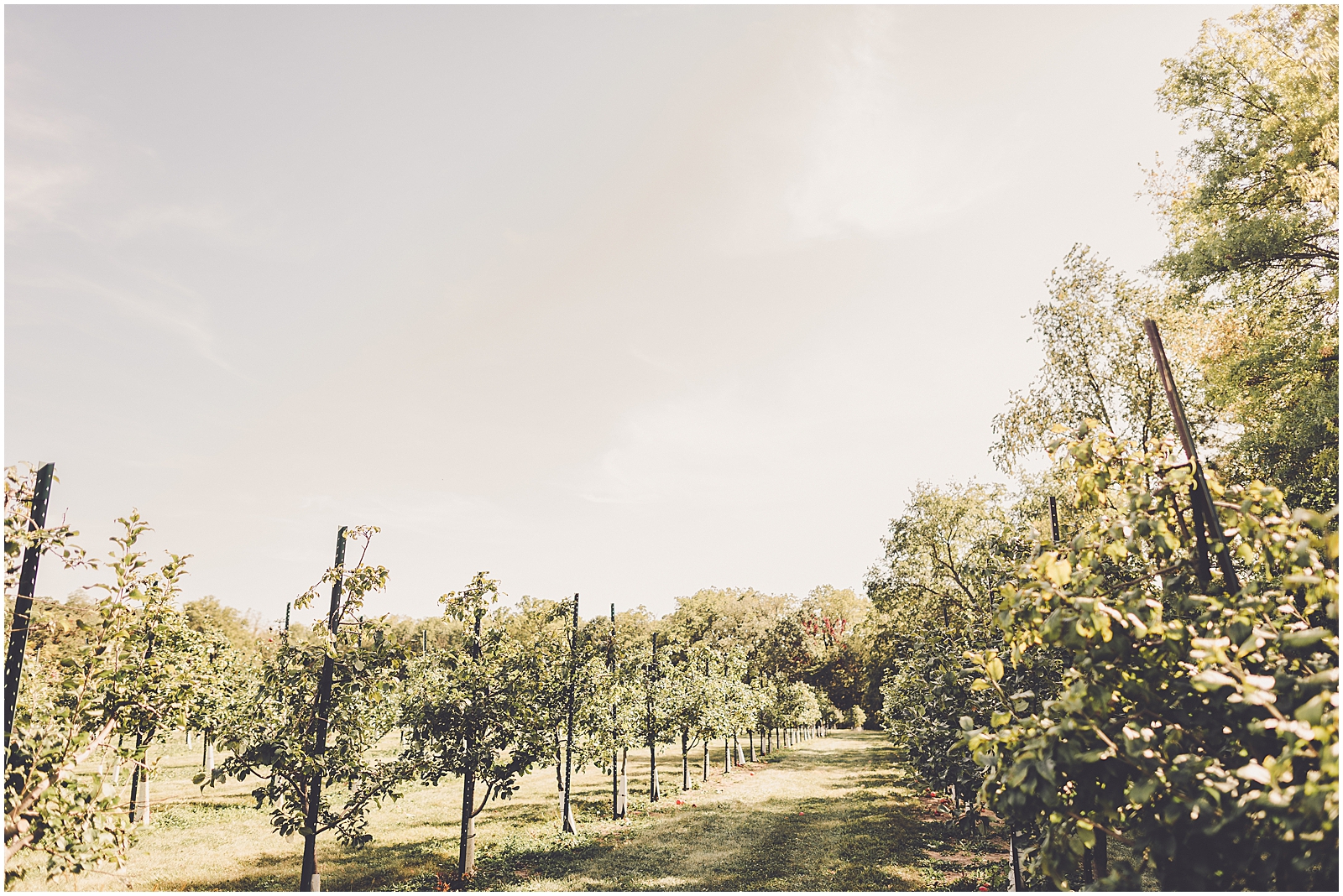 Gillian and Bobby's The Pavilion at Orchard Ridge Farms wedding in Rockton with Chicagoland wedding photographer Kara Evans Photographer.