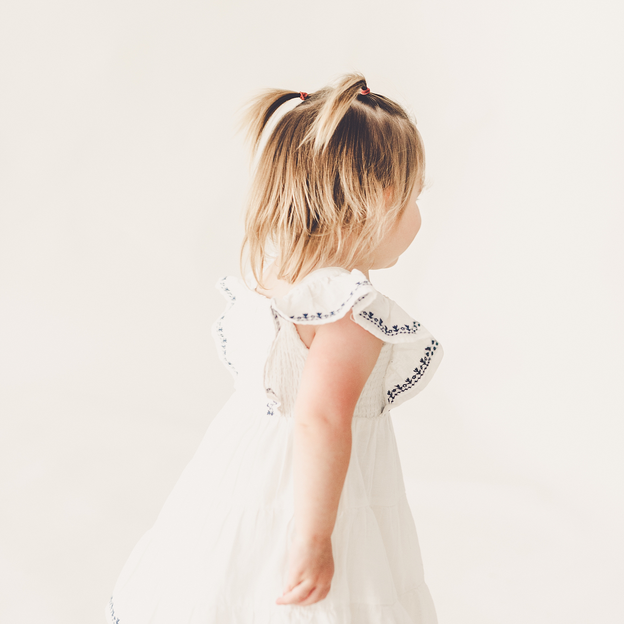 Studio two-year milestone photos at Studio 388 with Kankakee, Illinois family photographer Kara Evans Photographer.