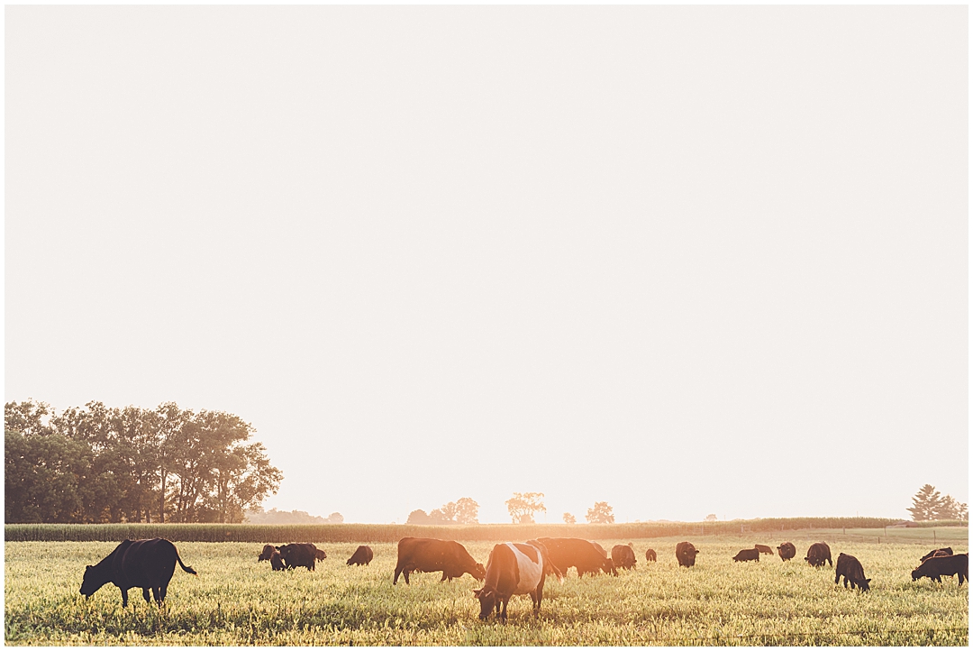 Summer sunset Iroquois County family photographer with Kankakee & Iroquois County family photographer Kara Evans Photographer.