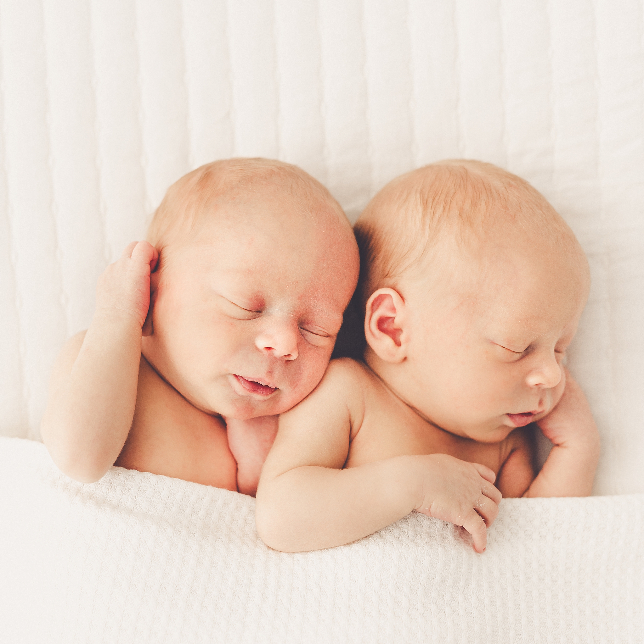 Twin newborn photographer in Kankakee with Kankakee & Iroquois County family photographer Kara Evans Photographer.