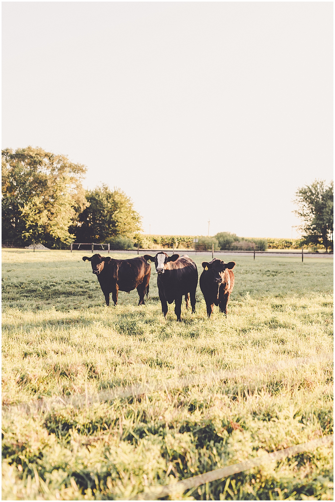 Iroquois County family photographer – Kara Evans Photographer is a Central Illinois family photographer serving Kankakee and Iroquois County.