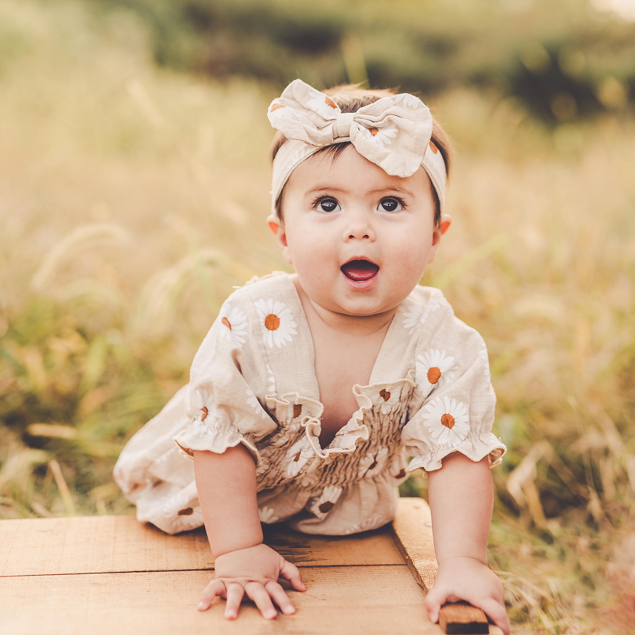 Late summer nine-month baby milestone photos at Perry Farm with Iroquois and Kankakee County family photographer Kara Evans photographer.
