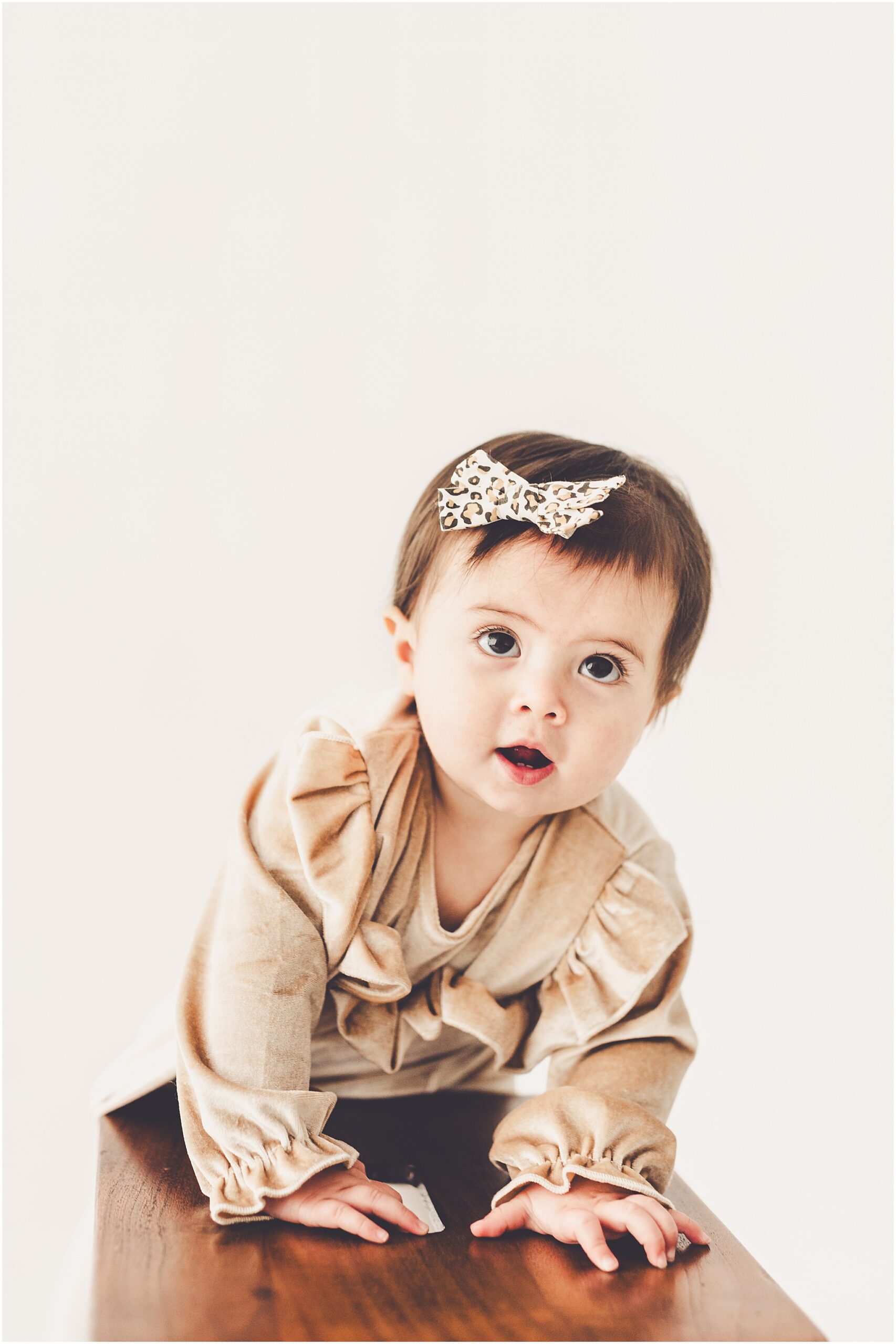 A one-year milestone session at Studio 388 in Kankakee, Illinois with Kankakee family photographer Kara Evans Photographer.