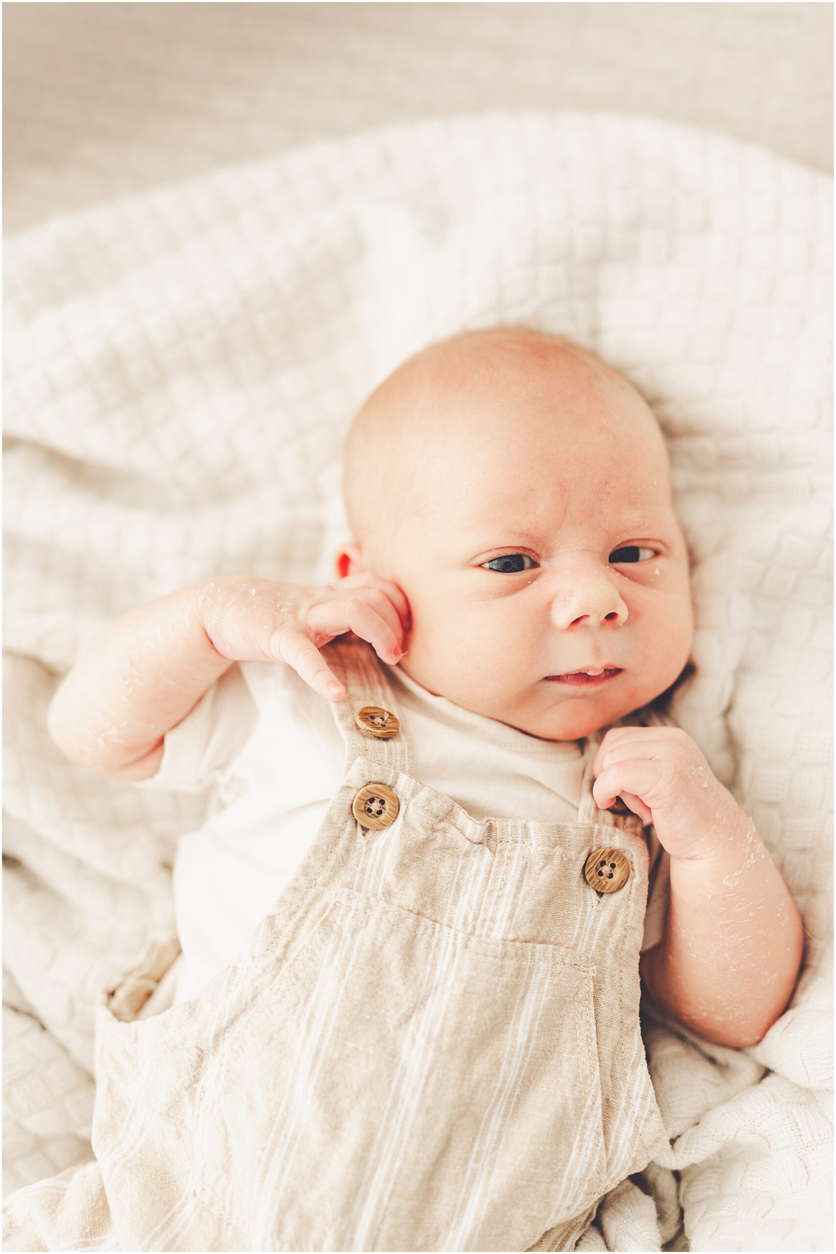 Explore family and newborn photos at Studio 388 in Kankakee, Illinois with Kankakee newborn photographer Kara Evans Photographer.