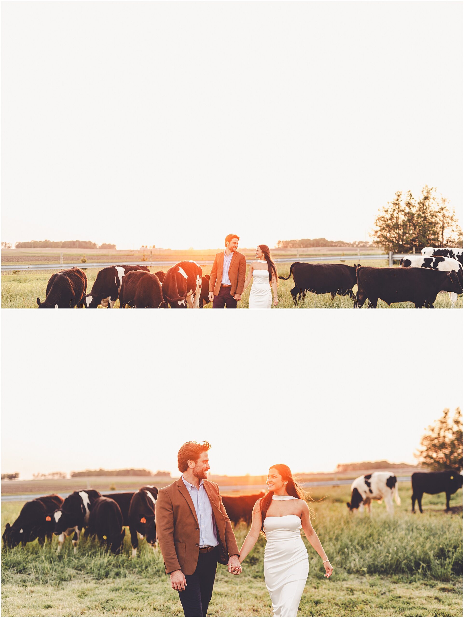 Central Illinois farm engagement photos in Sheldon, Illinois with Central Illinois photographer Kara Evans Photographer.