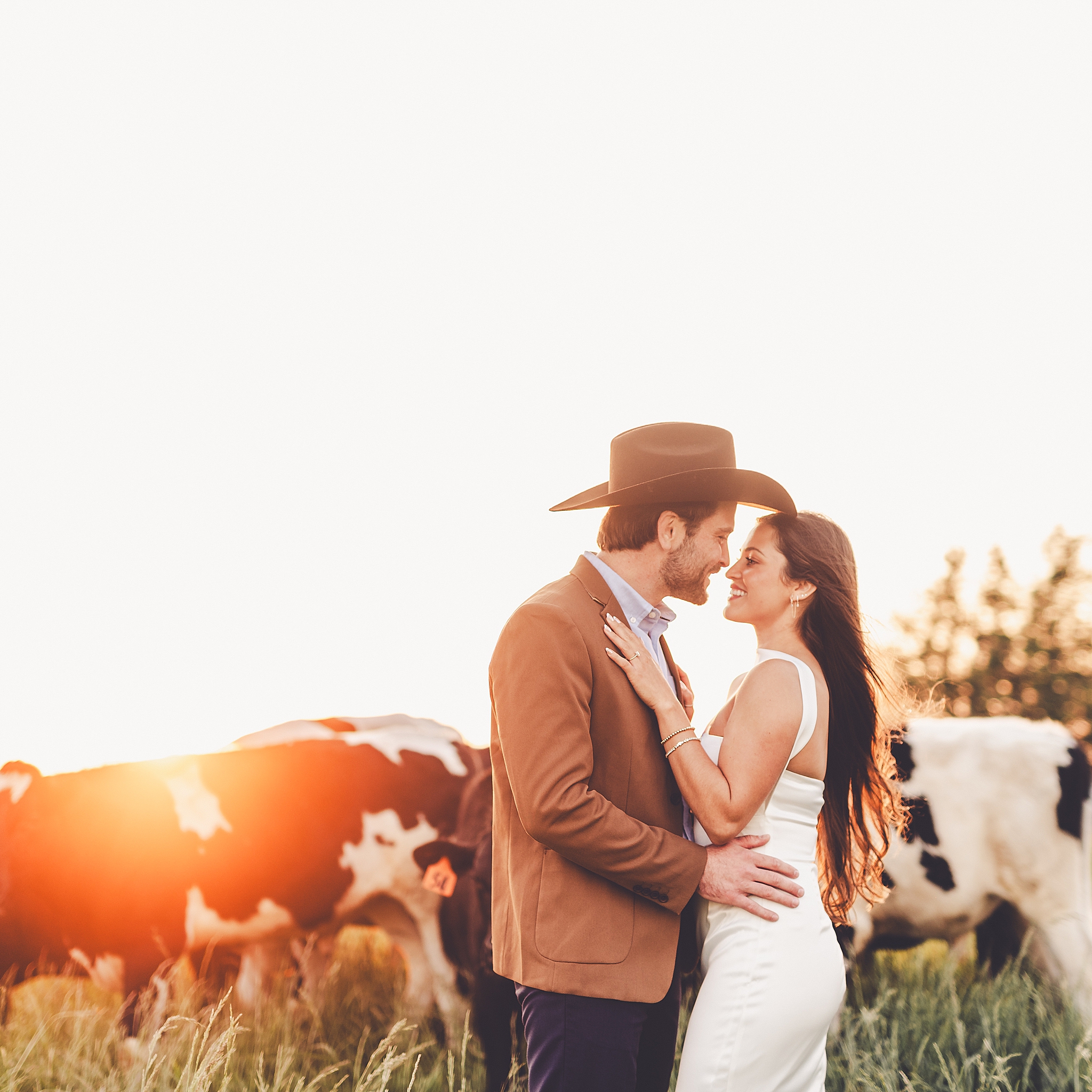 Central Illinois farm engagement photos in Sheldon, Illinois with Central Illinois photographer Kara Evans Photographer.