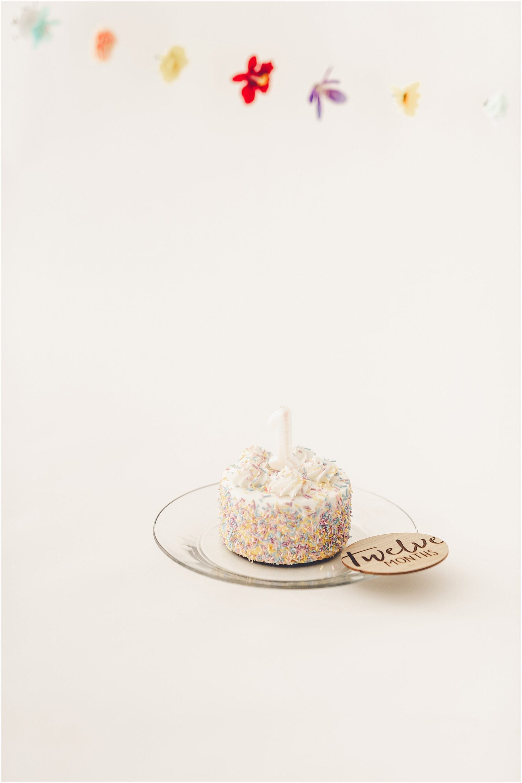 Studio one-year milestone photos at Studio 388 with Kara Evans Photographer, a Kankakee-based family photographer.