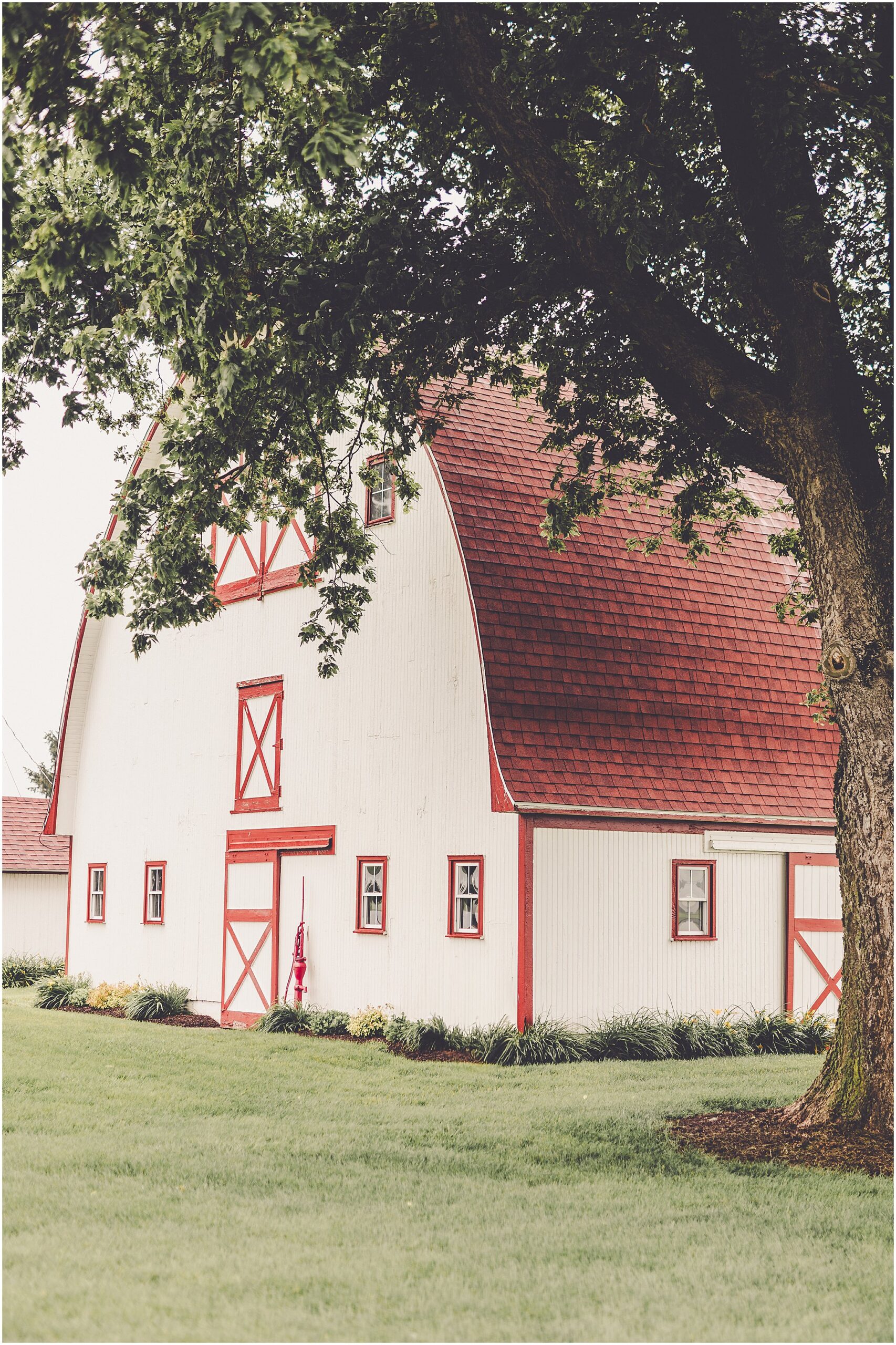 A look at Taylor & Kody's summer Hudson Farm wedding photos in Urbana, Illinois with Central Illinois photographer Kara Evans Photographer.