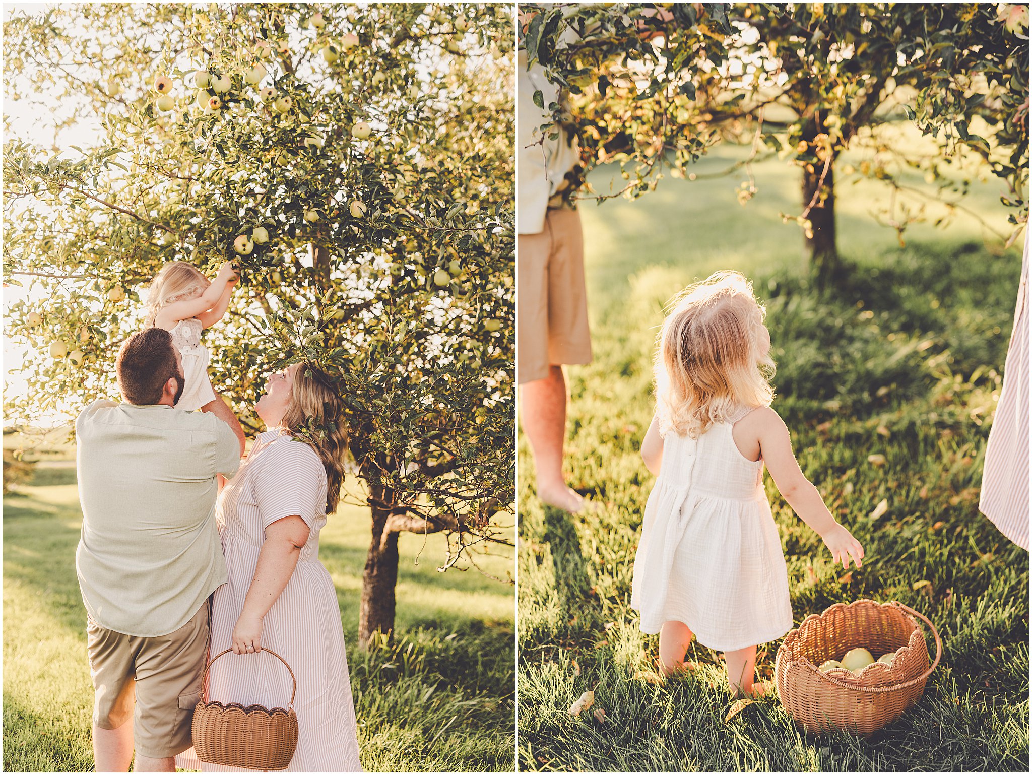 A summer backyard sunset session with the Cowsert family photographed by Iroquois County family photographer Kara Evans Photographer.