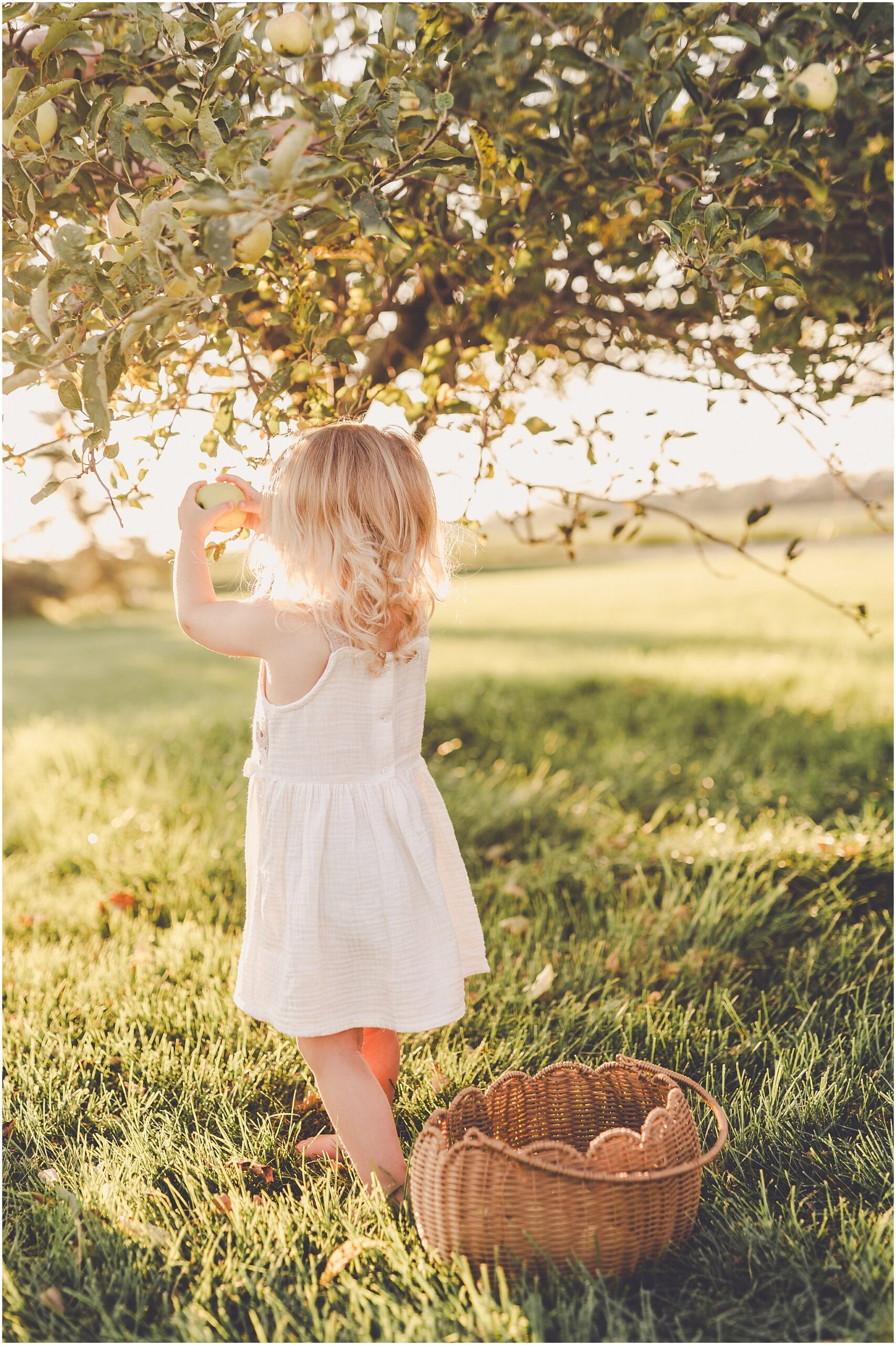 A summer backyard sunset session with the Cowsert family photographed by Iroquois County family photographer Kara Evans Photographer.