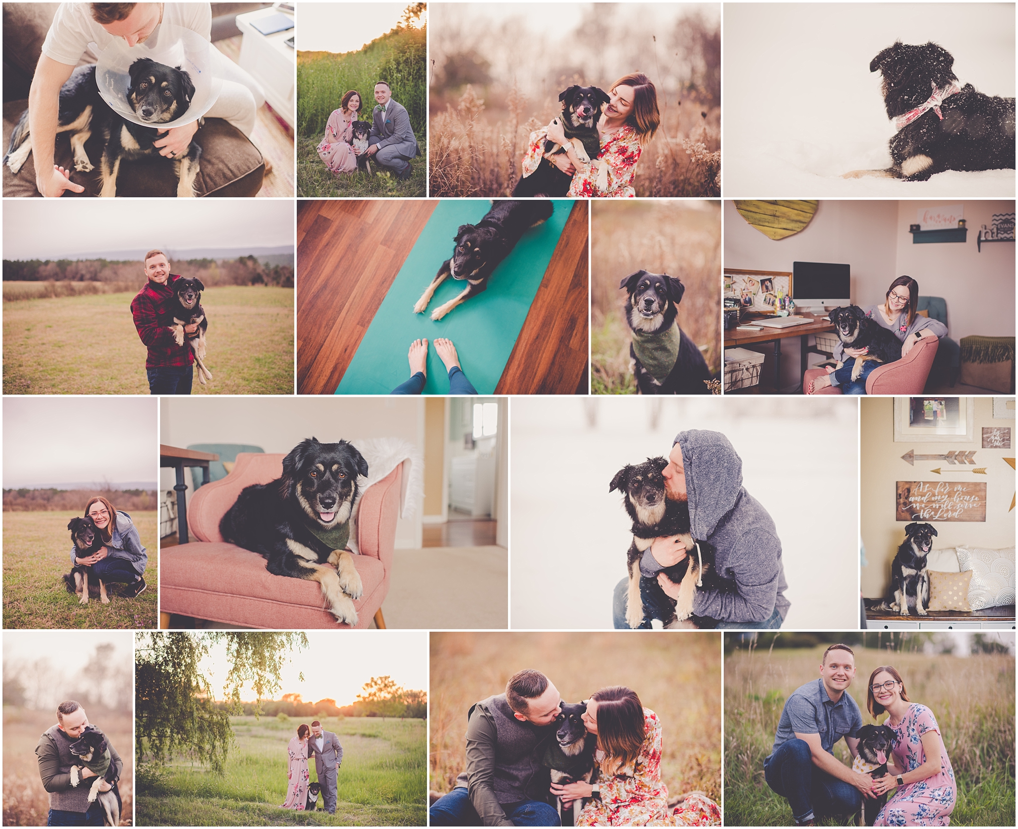 Kara Evans Photographer - Central Illinois Photographer - My Life Blogger - Georgie's Third Birthday - #georgieannevans - Wright Way Rescue - Rescue Puppy - Personal Life Blog