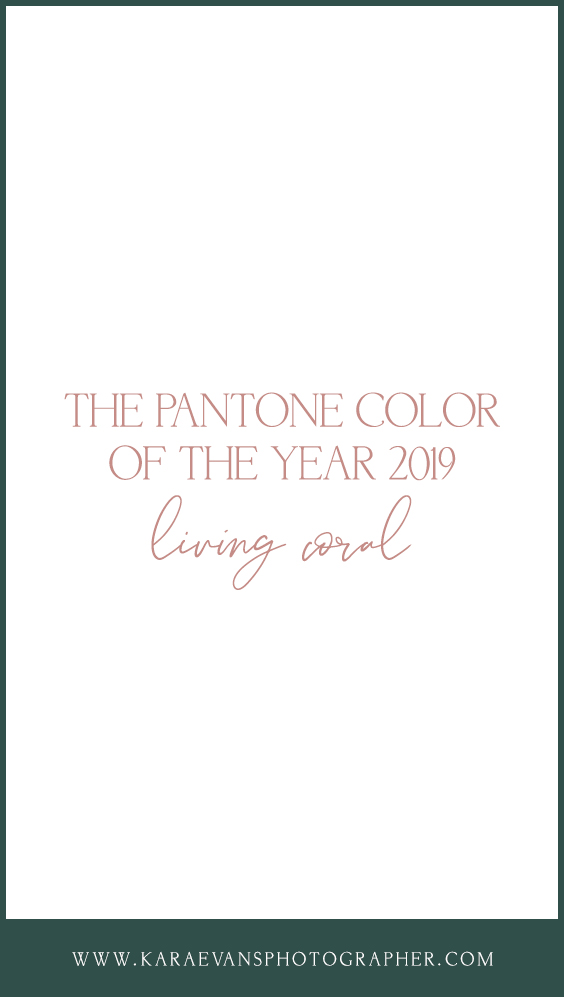 The pantone color of the year 2019 - living coral. Kara Evans Photographer's take on the 2019 pantone of the year.